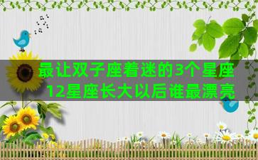 最让双子座着迷的3个星座 12星座长大以后谁最漂亮